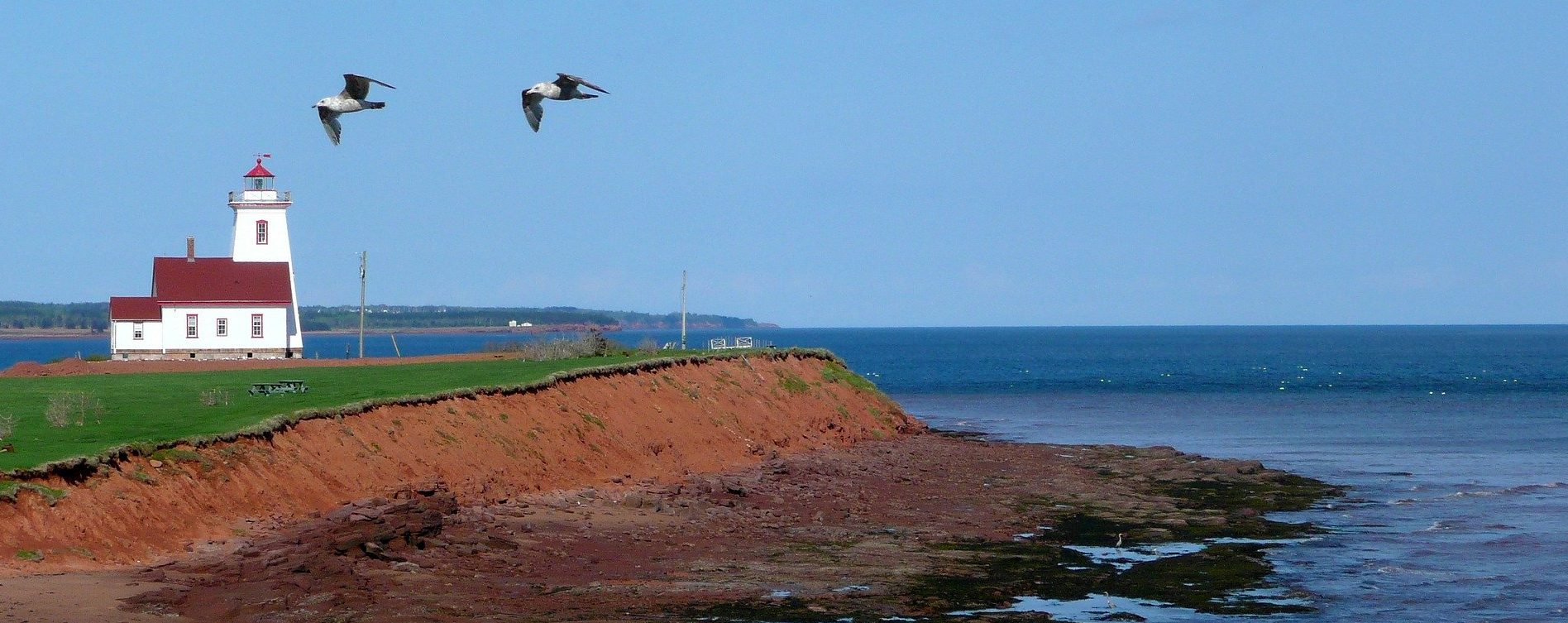 Prince Edward Island latest draw Feb 20, 2020