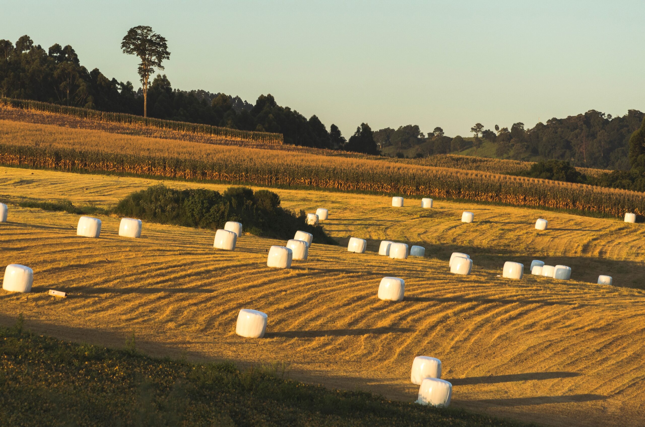 Agri-Food Pilot starts application intake for permanent residence in Canada