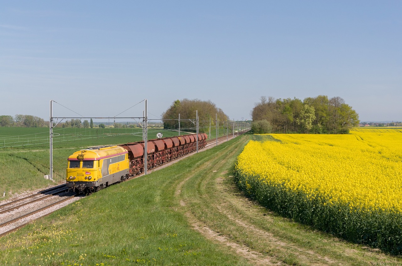 Canada invites only 627 PNP applicants in recent Express Entry draw