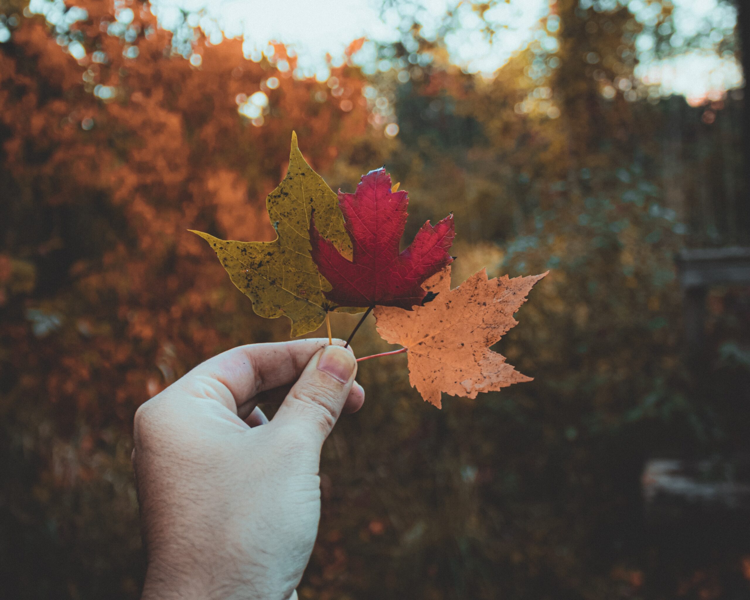162 French speaking candidates selected in Oct 7 OINP draw