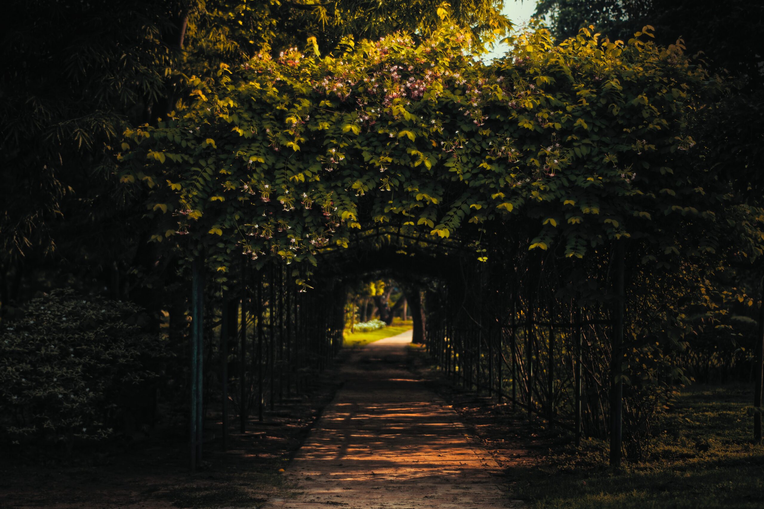 924 Applicants Qualify for Canada PR in New EE Draw