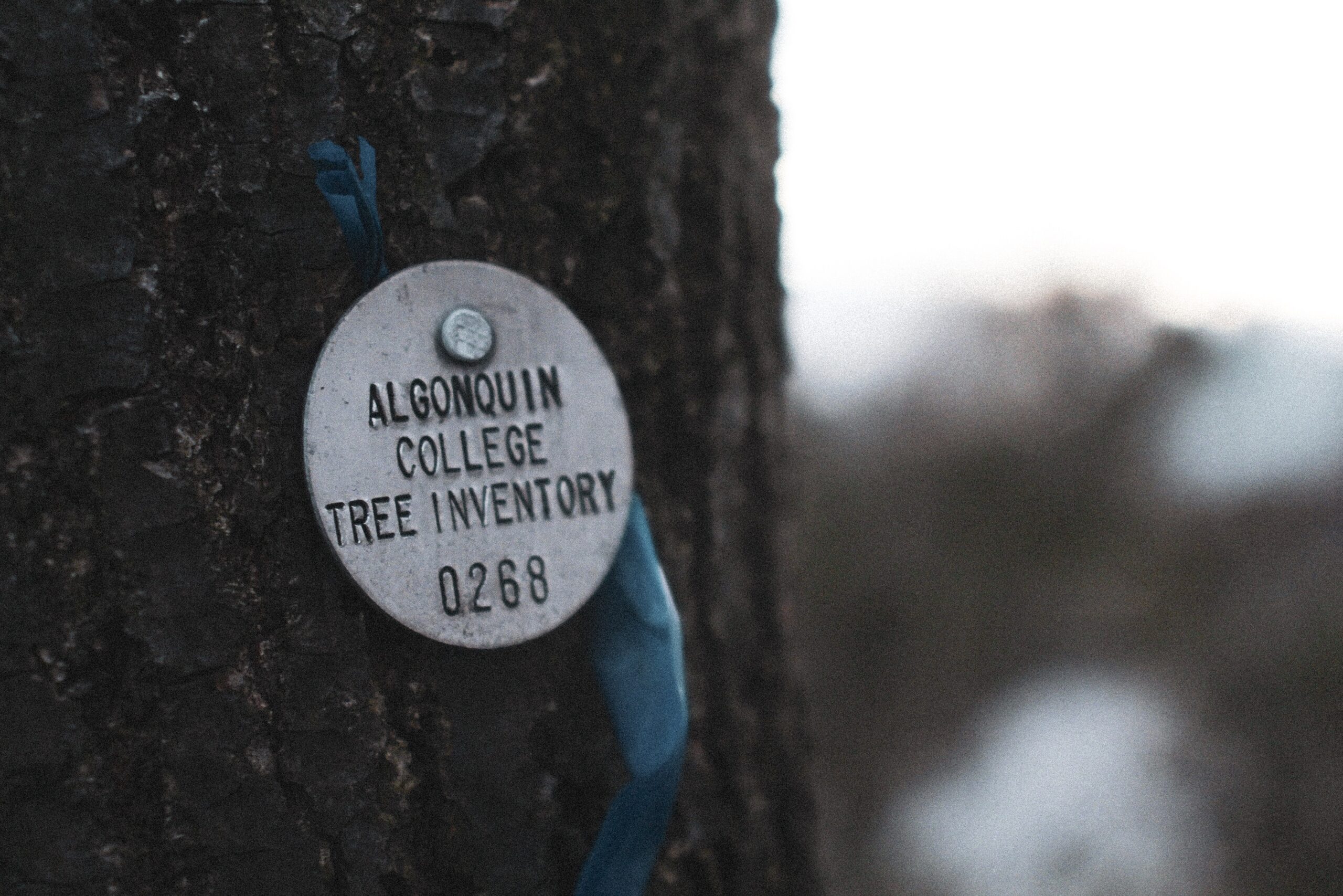 919 Applicants Qualify for Canada PR in New Express Entry PNP Draw