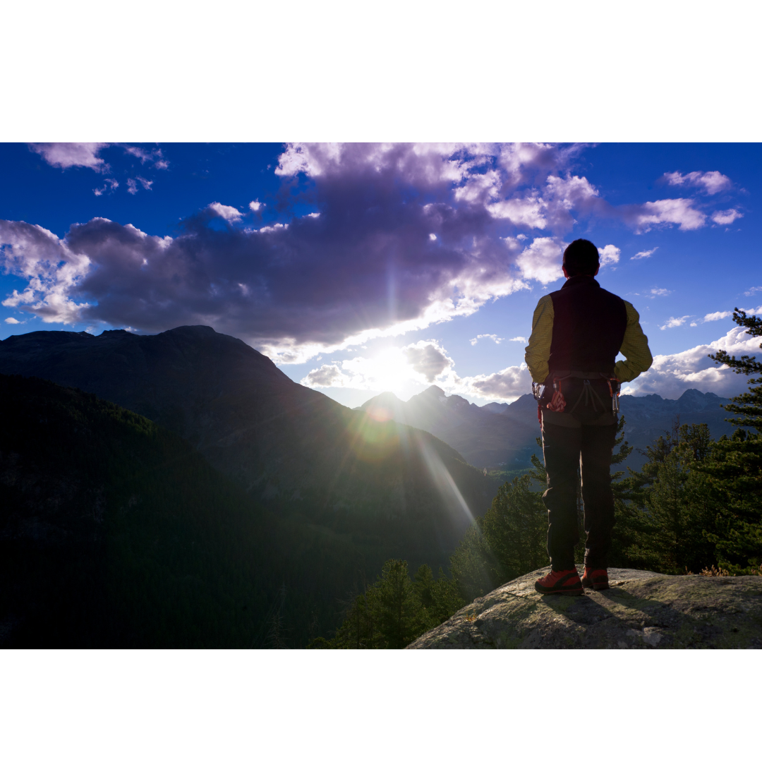 Canada to hire 1250 staff members to help solve immigration backlogs