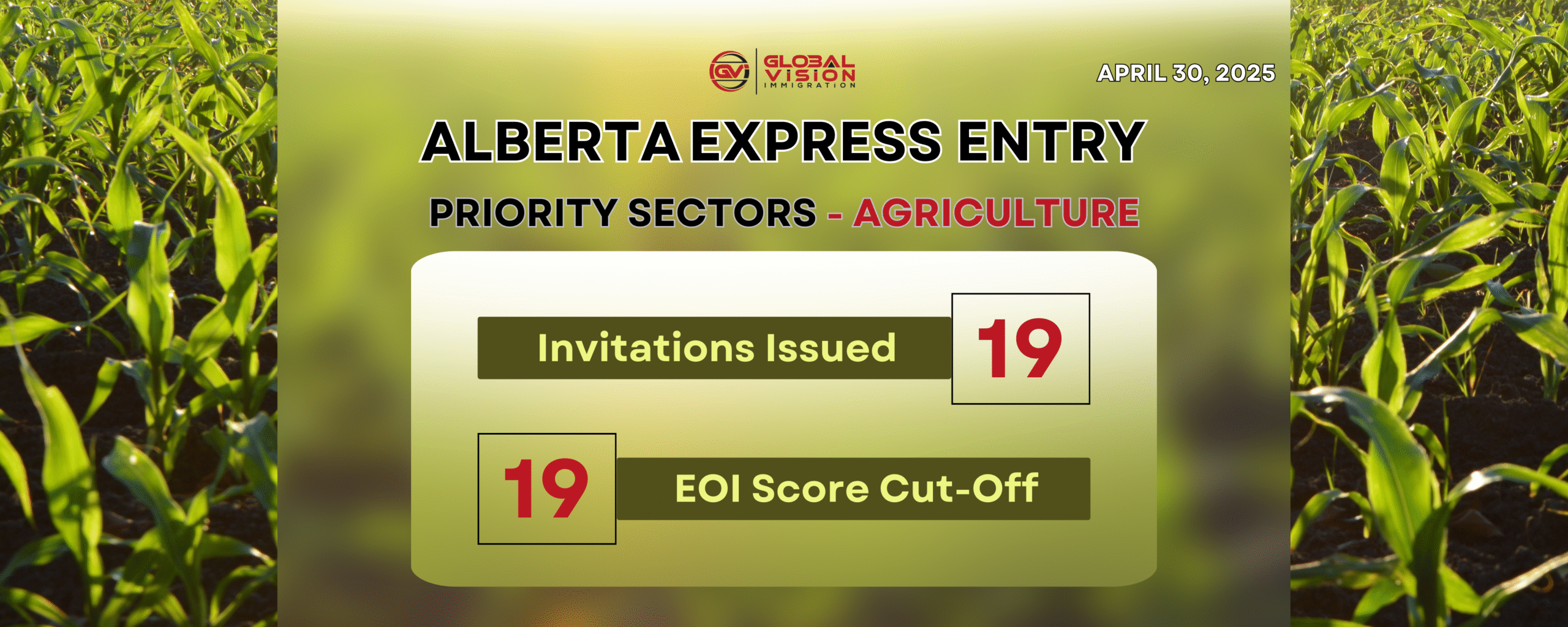 April 30 2025 9th Consecutive Alberta PNP draw issues 19 PNP invites